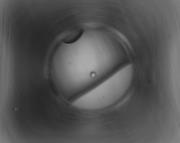 X0000101440930200807071024