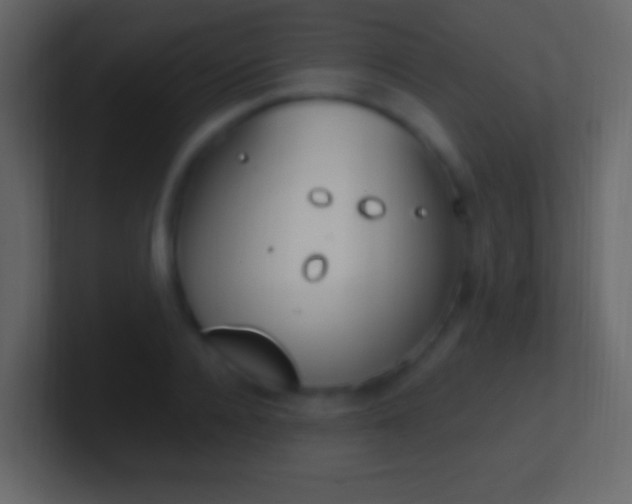 X0000101440936200807071024