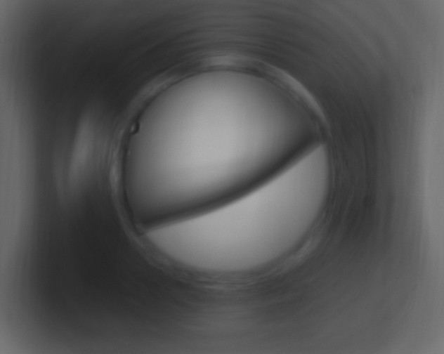 X0000101440938200807071024