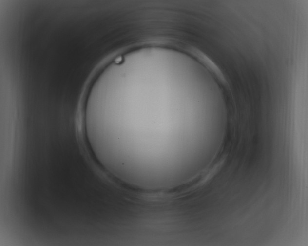 X0000101440940200807071024