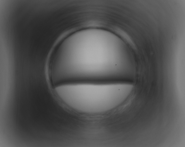 X0000101440942200807071024