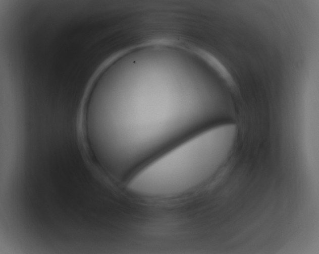 X0000101440948200807071024