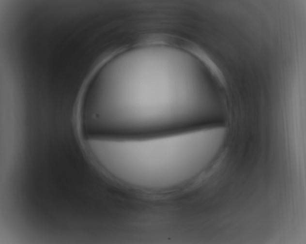 X0000101440949200807071024