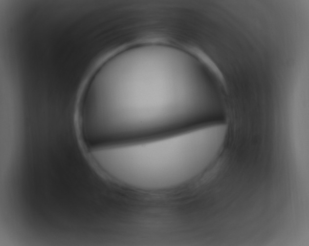 X0000101440951200807071024