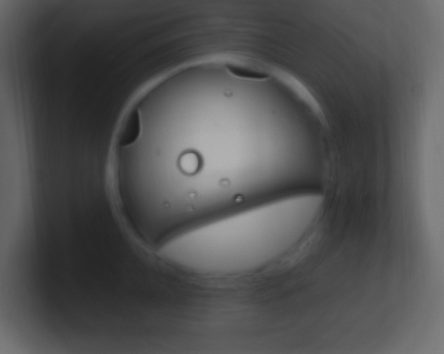 X0000101440952200807071024