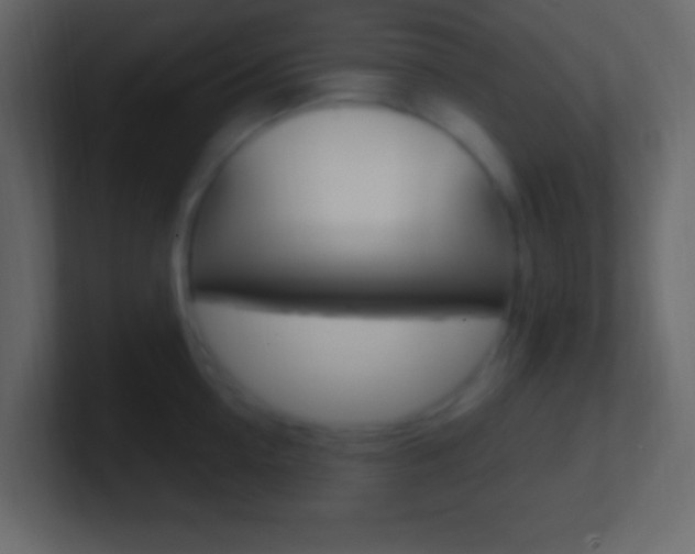 X0000101440954200807071024