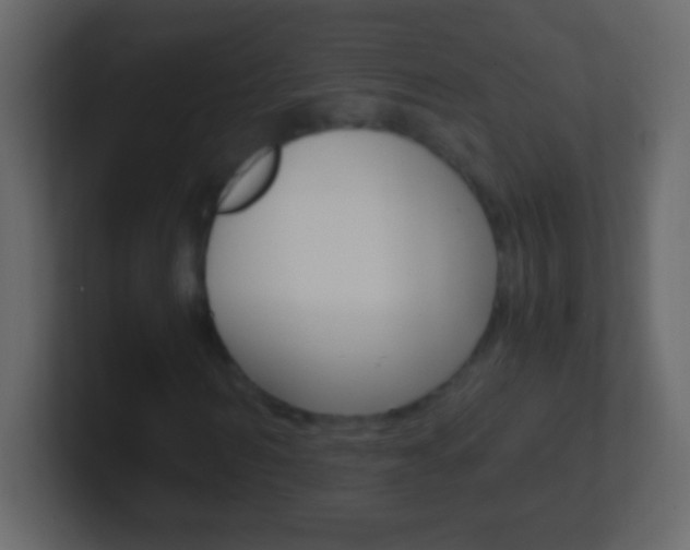 X0000101440962200807071023