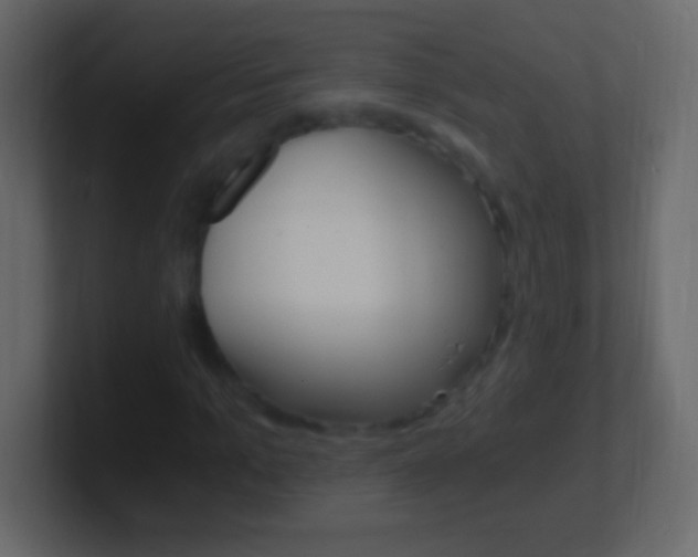 X0000101440965200807071023