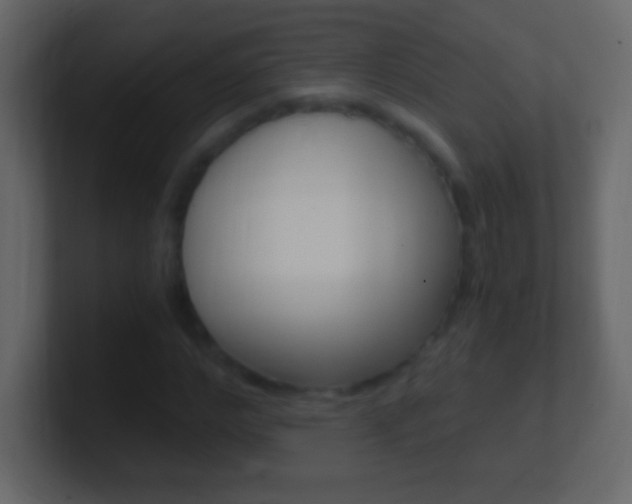X0000101440968200807071023