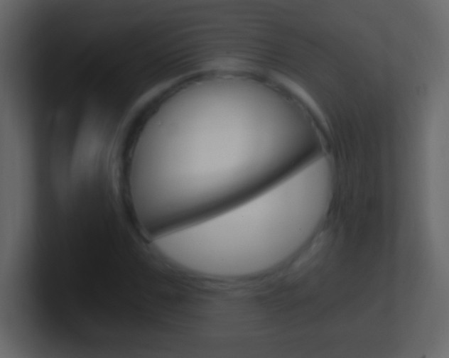 X0000101440971200807071023