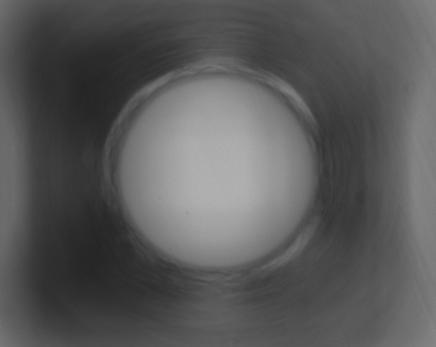 X0000101440973200807071023