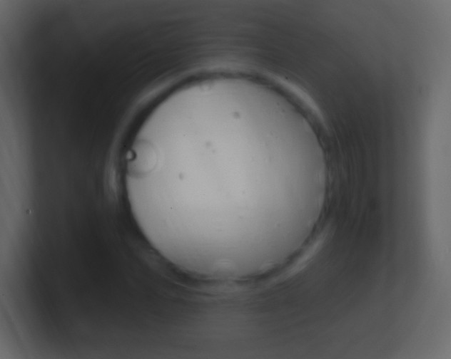 X0000101440974200807071023