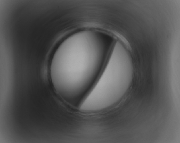 X0000101440976200807071023