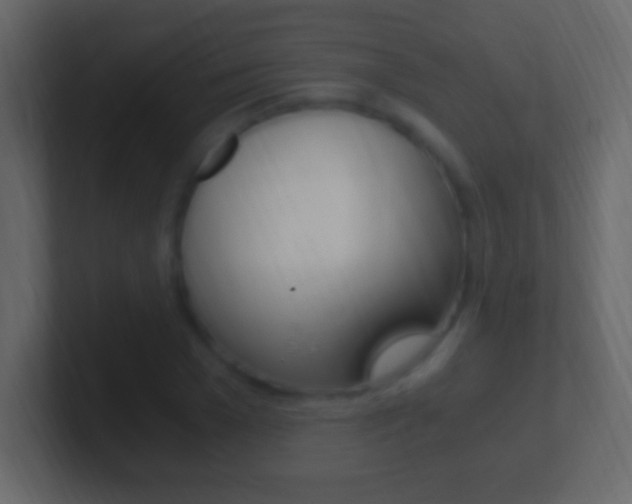 X0000101440977200807071023