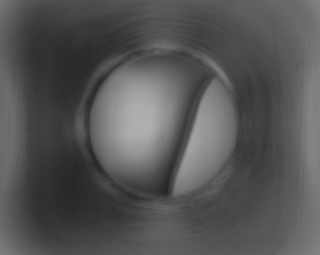 X0000101440987200807071023