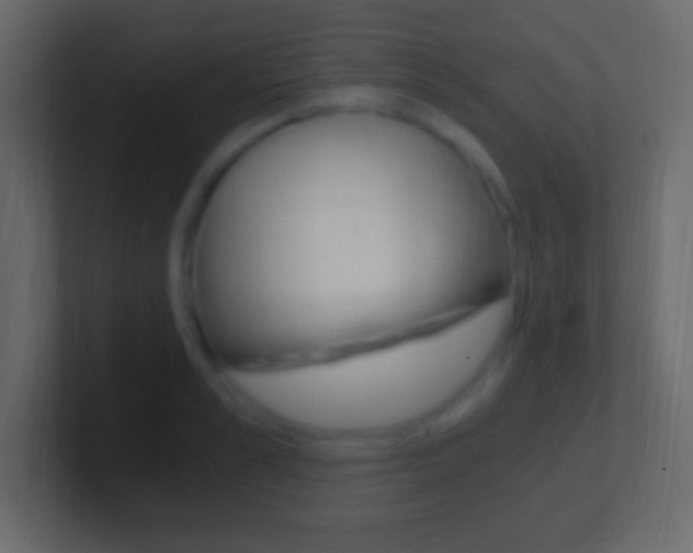 X0000101440989200807071023