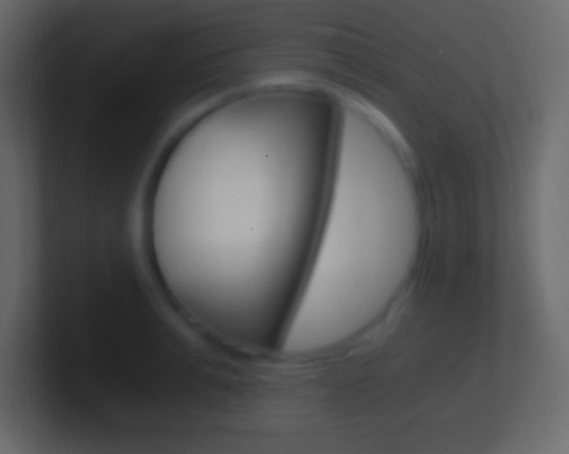 X0000101440991200807071023
