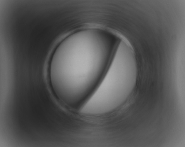 X0000101440995200807071023
