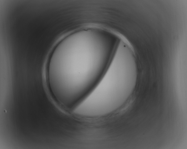 X0000101440999200807071023