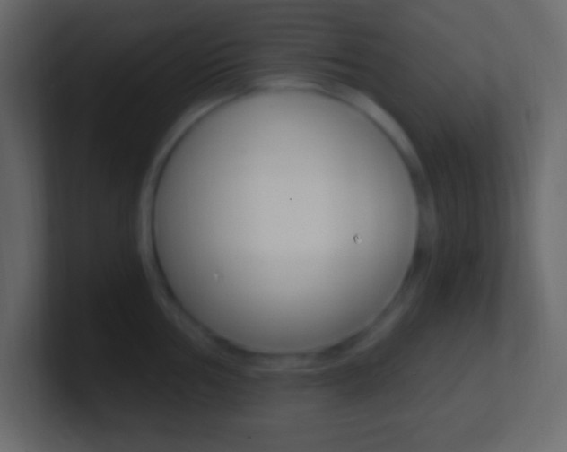 X0000101441002200807071023