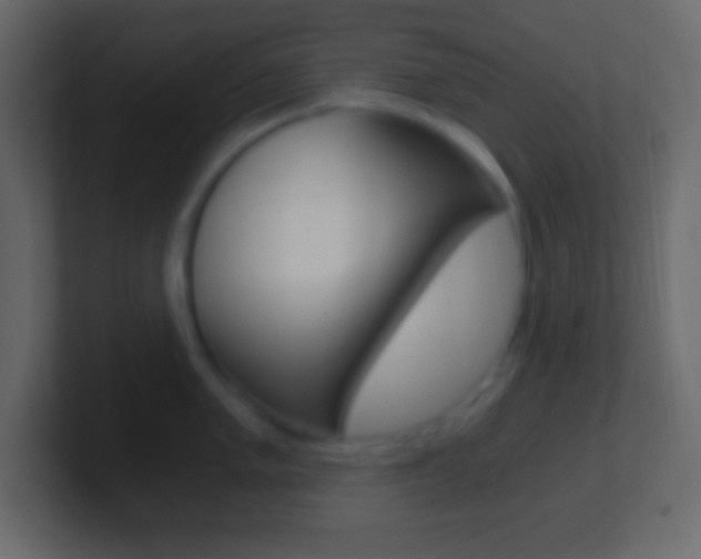 X0000101441005200807071023