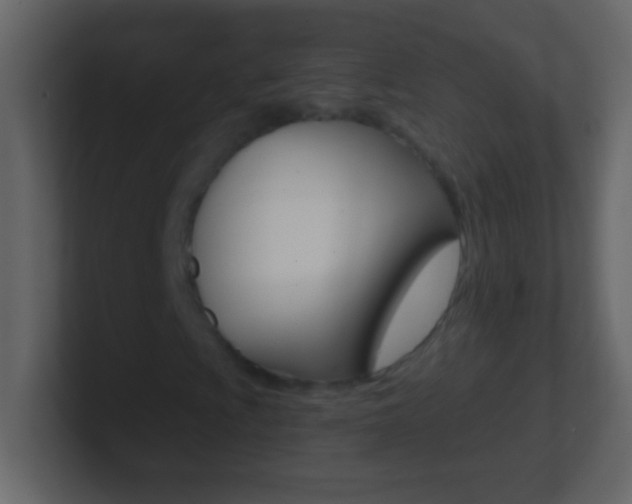 X0000101441009200807071022