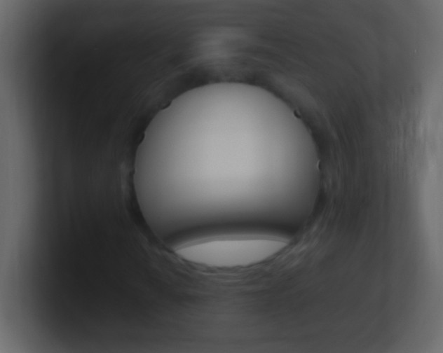 X0000101441010200807071022