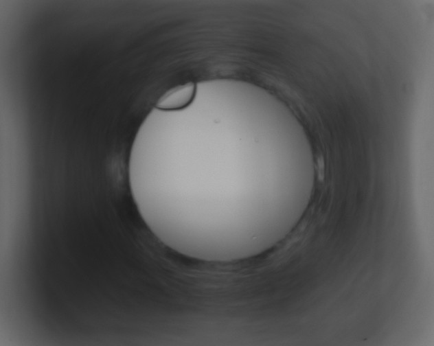 X0000101441011200807071022