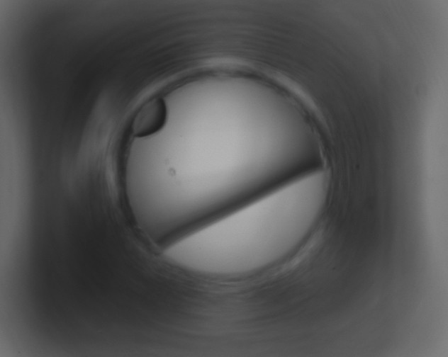 X0000101441022200807071022