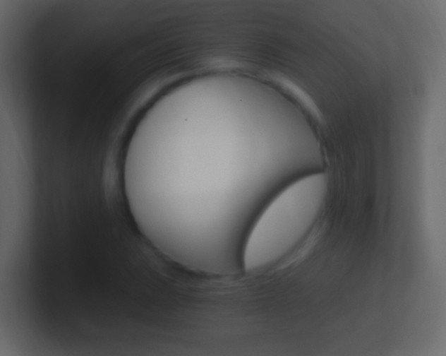 X0000101441023200807071022