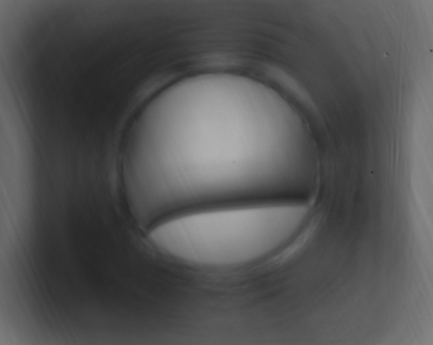 X0000101441025200807071022