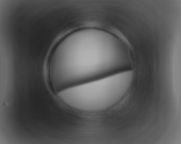 X0000101441032200807071022