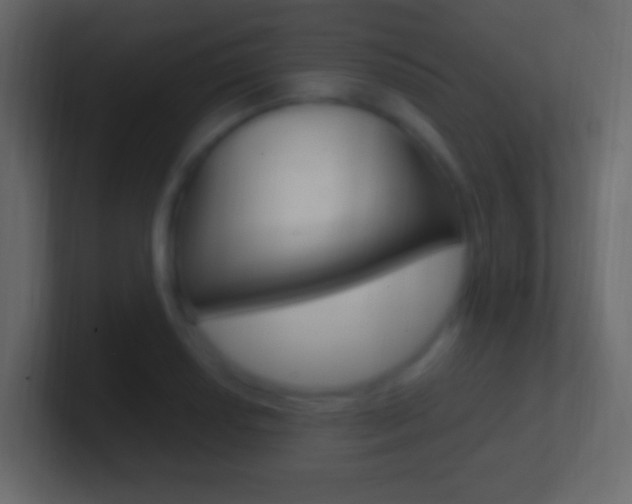 X0000101441034200807071022