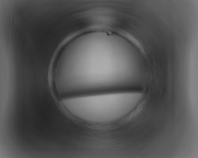 X0000101441037200807071022