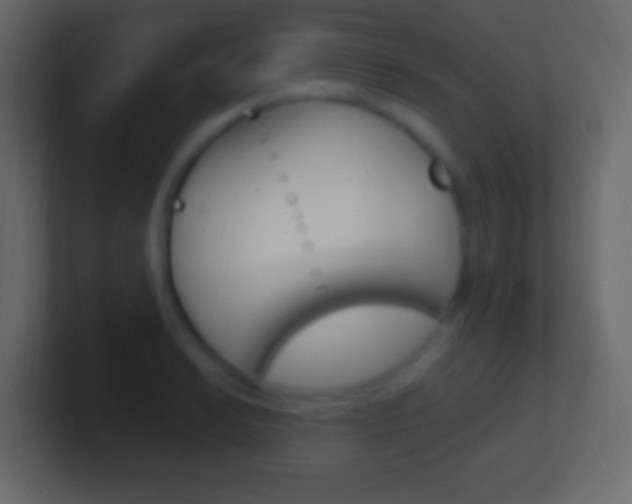X0000101441038200807071022