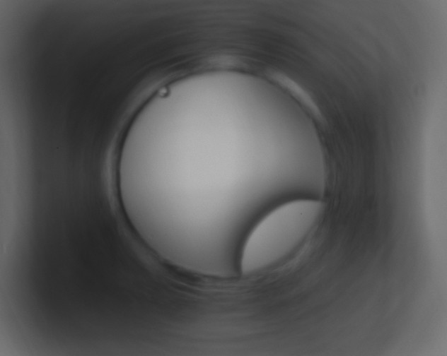 X0000101441039200807071022