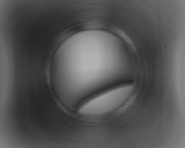 X0000101441041200807071022
