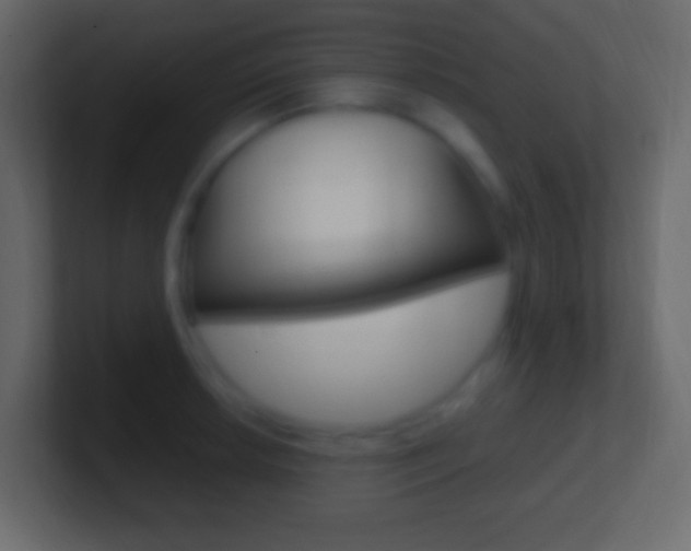 X0000101441042200807071022