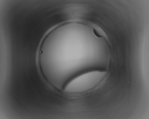 X0000101441044200807071023