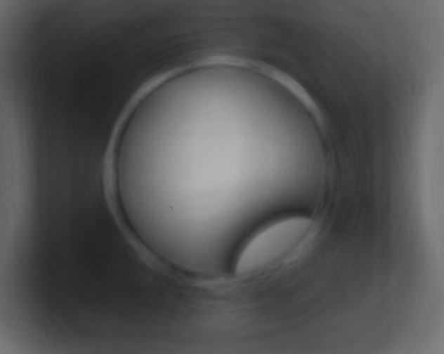X0000101441048200807071023