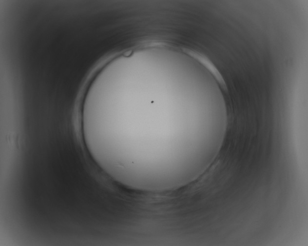 X0000101441051200807071023