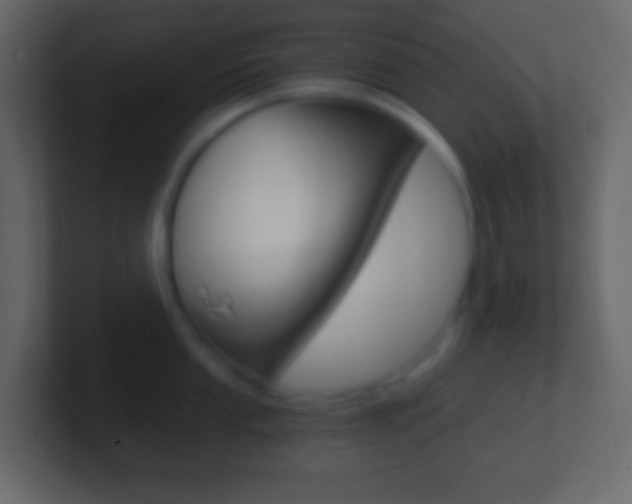 X0000101441053200807071023