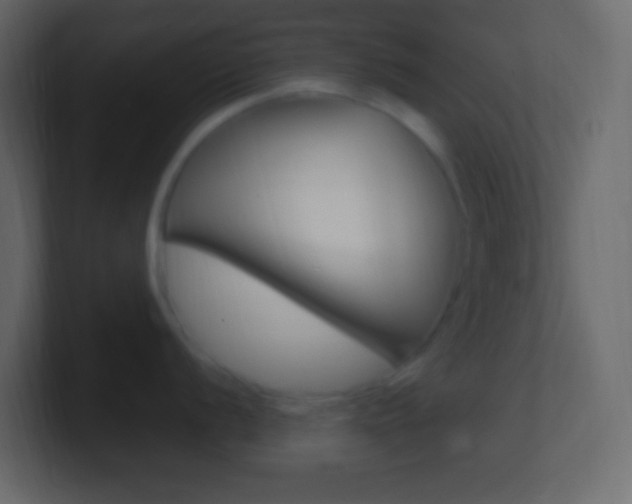 X0000101441056200807071023