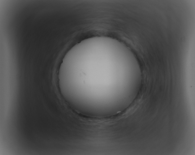 X0000101441057200807071022