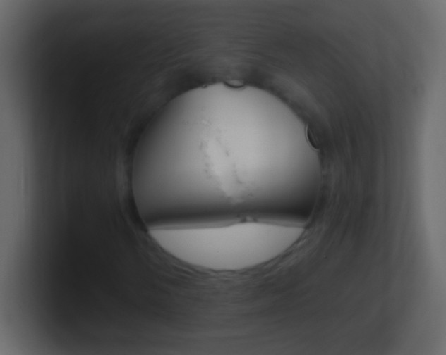 X0000101441058200807071022