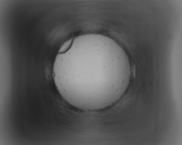 X0000101441059200807071022
