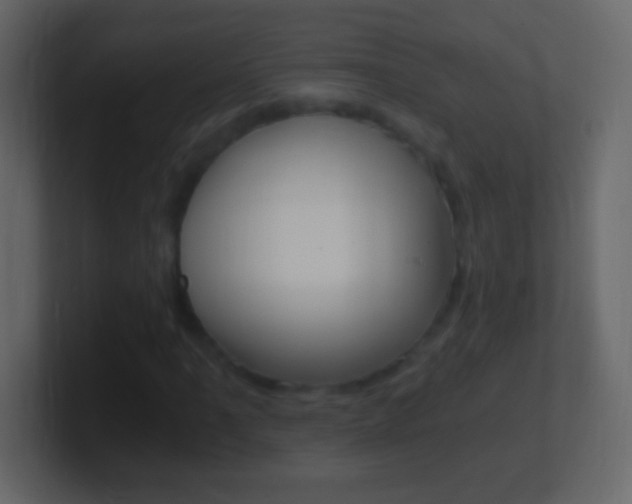 X0000101441061200807071022