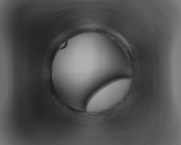 X0000101441064200807071022