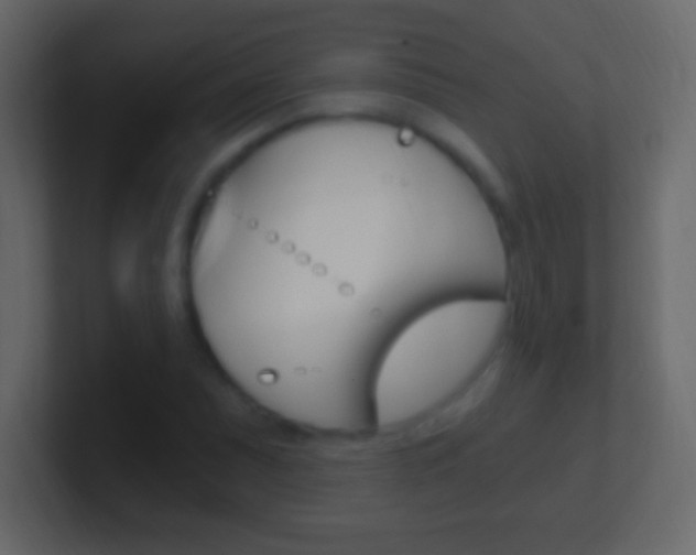 X0000101441071200807071022