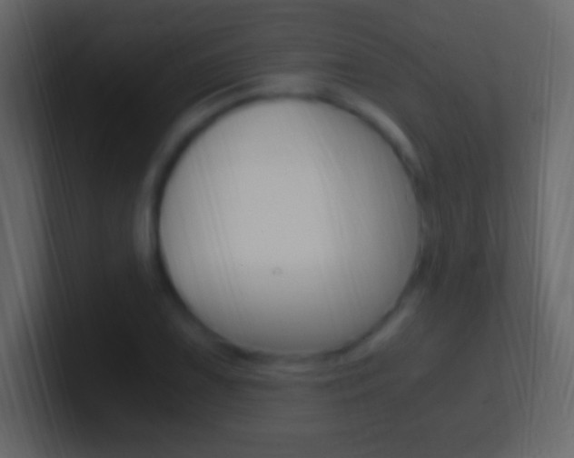 X0000101441075200807071022